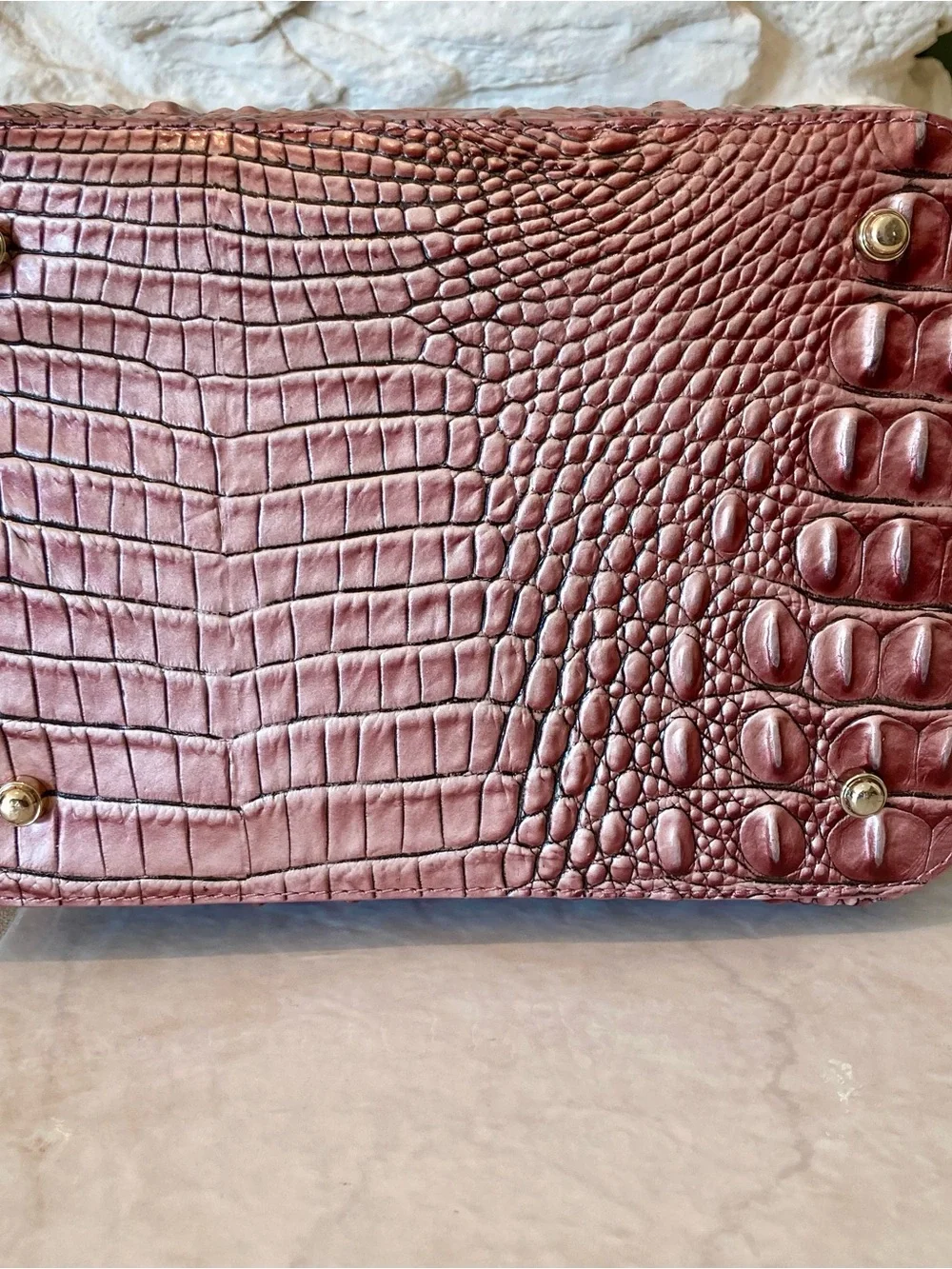 Brahmin nwt dustbag